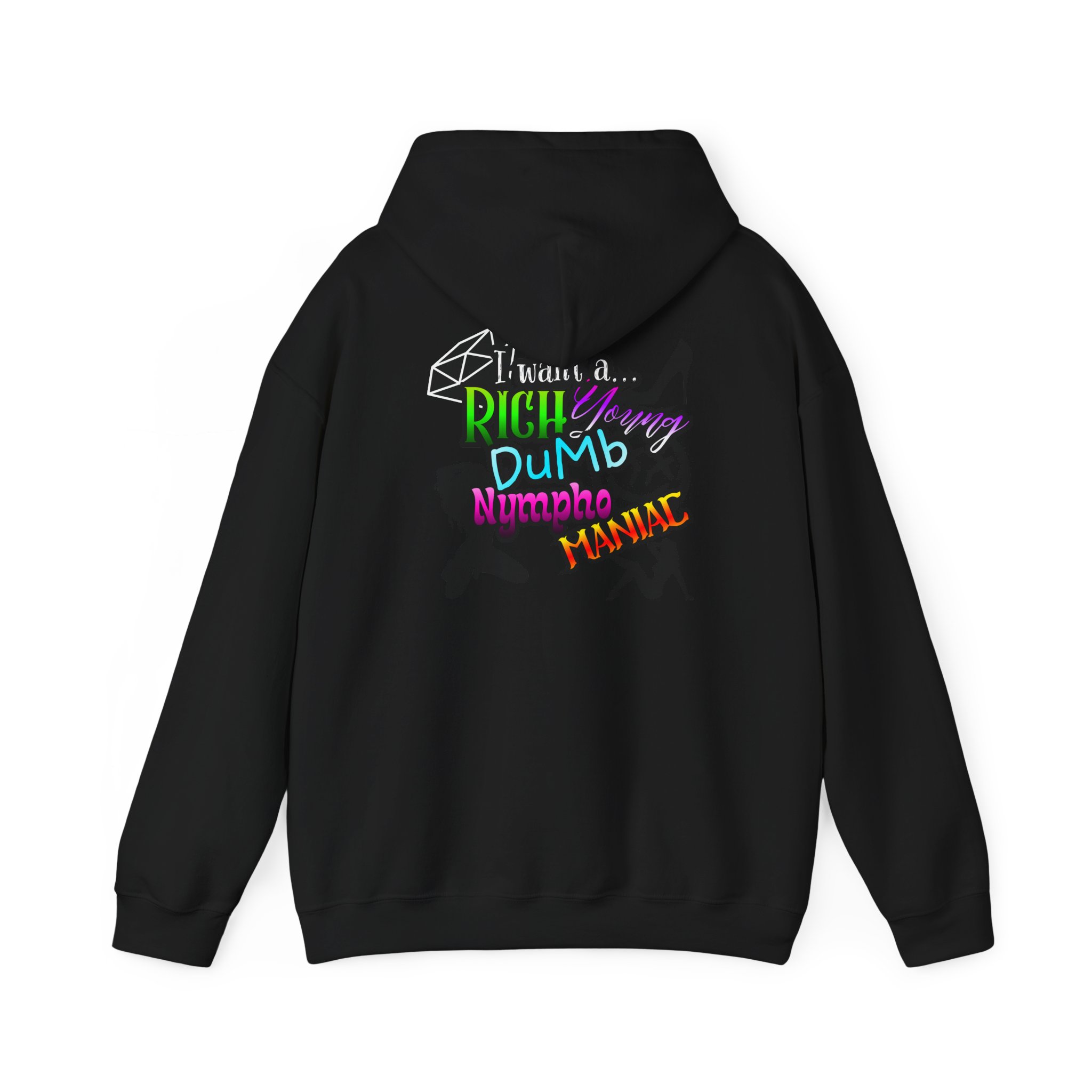 Drifter Gothic Hoodie — Colorful Back Graphic 'Lightning, Rich, Dumb, Nympho' Streetwear - Image 3