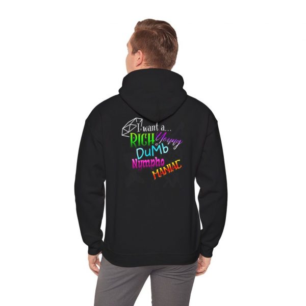Drifter Gothic Hoodie — Colorful Back Graphic 'Lightning, Rich, Dumb, Nympho' Streetwear